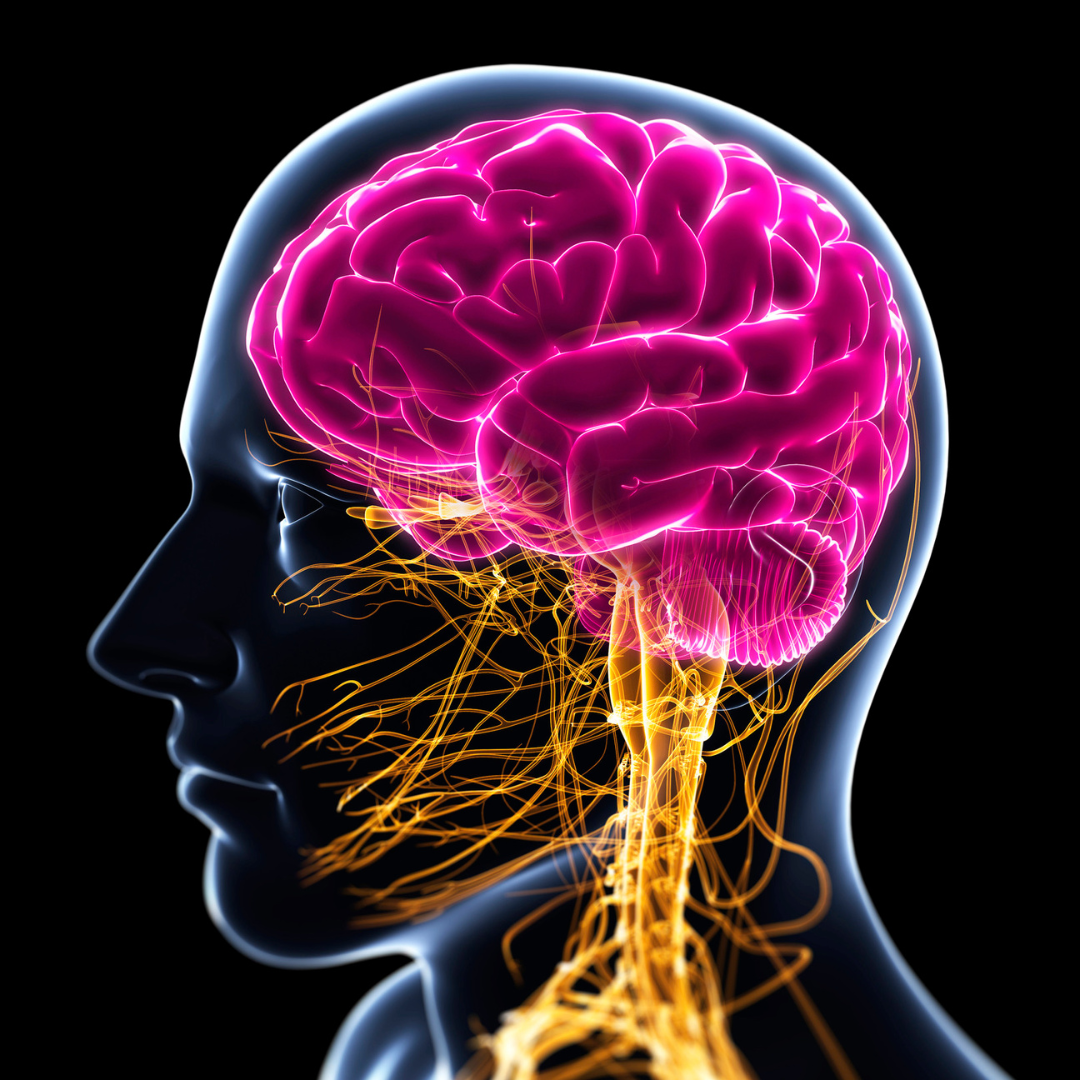 Curso de Psicofarmacologia na PsiQs: transforme sua prática médica